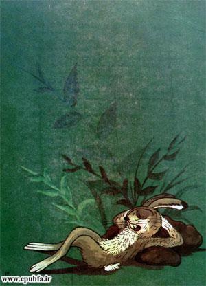 قصه کودکانه «زنبور بیباک» - ارشیو قصه و داستان ایپابفا